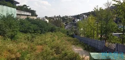 2년 넘게 공사가 중단돼 수풀이 우거진 현장. 사진=유시혁 기자