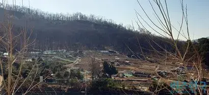 고 신격호 롯데그룹 명예회장의 장녀 신영자 전 롯데장학재단 이사장, 장남 신동주 일본 롯데 부회장과 차남 신동빈 롯데그룹 회장이 공동 소유한 서울 서초구 염곡동 부지. 사진=유시혁 기자