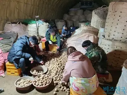 강원도 미래농업교육원 직원 10여 명이 17일 강원도 정선군에 위치한 한 감자 선별장을 찾아 감자 농가를 돕고 있다. 사진=박찬웅 기자