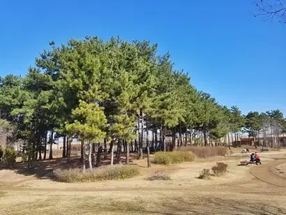 노란 꽃망울을 활짝 터뜨린 산수유가 다른 봄꽃들도 어서 피길 재촉하고 있다(위). 붓꽃은 아직이지만 갖가지 나무 수천 그루가 모인 숲길을 걷는 것만으로도 충분히 상쾌하다. 사진=구완회 제공