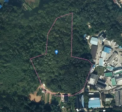 부동산매매업체 세 곳이 매입해 외지인 130명에게 지분을 매각한 시흥시 야산의 위성사진. 사진=카카오지도 캡처