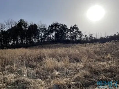 신영자 롯데삼동복지재단 이사장이 소유한 평창군 대관령면 용산리 땅. 영농이나 건축 없이 나대지로 방치돼 있다. 사진=전다현 기자