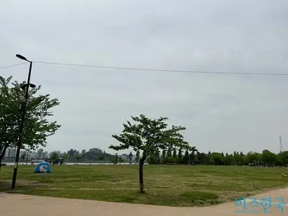 멜론이 정기이용권과 숲 조성 기금을 연계한 ‘숲;트리밍’ 프로젝트를 시작했다. 서울 마포구 난지한강공원 잔디마당 내 BTS숲(위)과 스타숲 부지. 사진=강은경 기자
