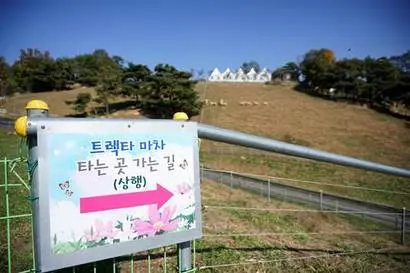 트랙터가 끄는 마차를 타고 양떼목장을 둘러볼 수도 있다. 사진=구완회 제공