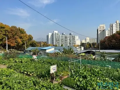 이 일대에는 원당마을한옥도서관(위) 등 원당샘 관련 시설과 주말 농장 등이 위치해 있다. 사진=강은경 기자