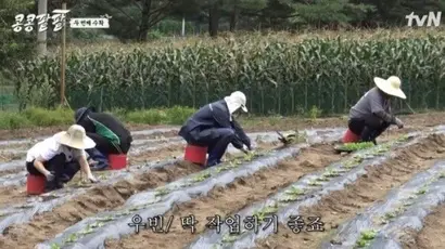 처음 농사를 짓기 시작할 때만 해도, 연예인들이 일주일에 한 번 내려와 몇 시간 농사 짓는 게 뭐 그리 큰 일이겠냐는 삐딱한 시선이 없지 않았다. 그러나 이들은 매번 영상통화로 농작물에 대한 회의를 하더니, 촬영일이 아니어도 비료를 주러 떠나는 등 열의를 보이며 진정성을 확보했다. 사진=tvN 제공