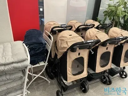 할리스 다산제이원점에 구비된 강아지용 유모차. 사진=김민지 인턴기자