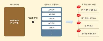 마이데이터 사업자인 신용카드사들은 마이데이터로 수집한 소비자 정보를 분석해 소비 패턴에 맞는 카드를 추천할 수 있다. 사진=금융규제 샌드박스 사이트