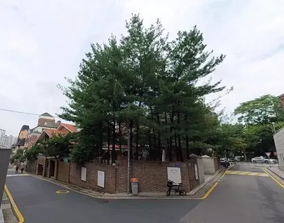 걸그룹 카라 멤버 박규리 씨가 지난달 220억 원에 부동산 매물로 내놓은 서래마을 건물. 사진=카카오맵 로드뷰