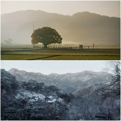 드라마틱한 이야기는 아닐지라도 찬찬히 깊게 들여다보면 어느 가족이나 그들의 깊은 이야기가 존재한다. 영화가 담아낸 풍광 역시 마찬가지. 압도적인 아름다움은 아닐지라도 가족처럼 편안하고 그윽한 한국의 풍광이 계절을 타고 아름다운 미장센으로 담긴다. 사진=인디스토리 제공