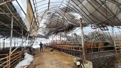 고향사랑기부제는 지방재정 확충과 지역 균형 발전에 기여하며 재난 복구 기부 수단으로도 활용되고 있다. 경기 안성에서 폭설로 인해 피해를 받은 농가 모습. 사진=고향사랑기부제 플랫폼 ‘위기브’​ 제공