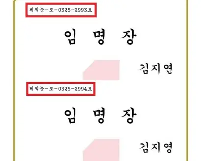 이름을 가나다 순으로 배치해 임명장 발급번호가 부여됐다. 이를 통해 황씨 성을 가진 사람의 발급번호를 토대로 매일 제작된 임명장 규모를 파악할 수 있다.