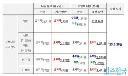 6월 28일부터 시행된 정책대출 최대한도 축소 방안. 자료=금융위원회