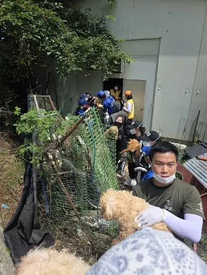 동물권단체 활동가들이 번식장에서 개들을 하나씩 구조해 나오고 있다. 사진=루시의 친구들 제공
