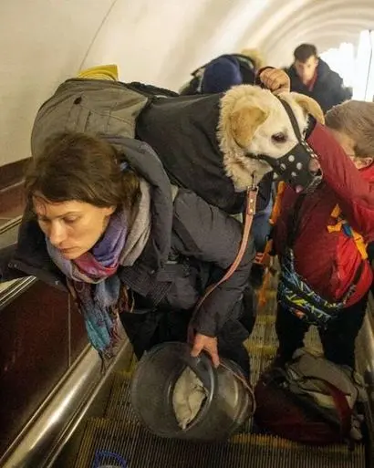 지난 2022년 3월 러시아 침공 당시 우크라이나 시민들이 ​반려동물을 데리고 피난하는 모습이 크게 화제가 되었다. 사진=UAnimals 페이스북