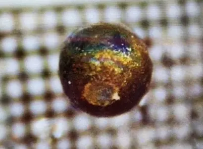 아비 로엡이 바닷속에서 건진 외계 물체의 파편이라고 주장한 금속 조각.