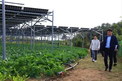 송미령 농림축산식품부 장관(왼쪽 뒤)이 10월 22일 오후 청주시 오창읍 ‘영농형 태양광 실증단지’를 방문해 발전 설비를 살펴보고 있다. 사진=농림축산식품부 제공