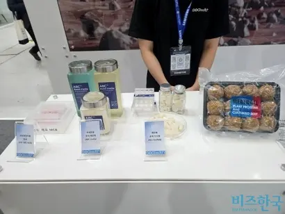 씨위드가 개발 중인 해조류 기반의 배양액(왼쪽)과 지지체(가운데), 이를 바탕으로 생산한 대체육 미트볼. 사진=최영찬 기자