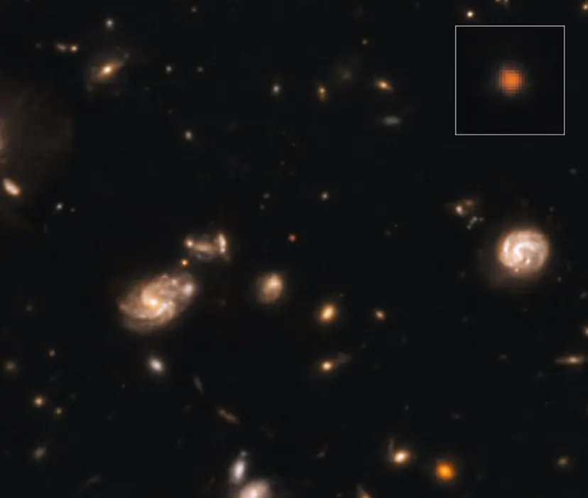 제임스 웹이 최근 발견한 카포타우로 은하. 사진=Image processing: Giuseppe Capriotti & Giovanni Gandolfi. Data: NASA/ESA/CSA/JWST/CEERS(PI: Steven Finkelstein)