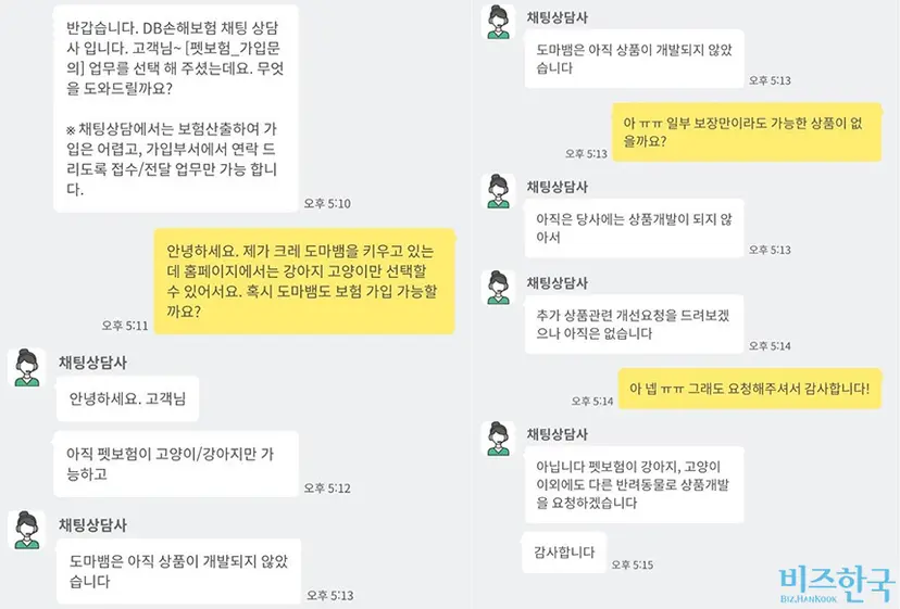DB손해보험 채팅 상담을 통해 도마뱀의 펫보험 가입 가능 여부를 물어보자 고양이와 강아지만 가능하다는 응답이 돌아왔다. 사진=윤채현 인턴기자