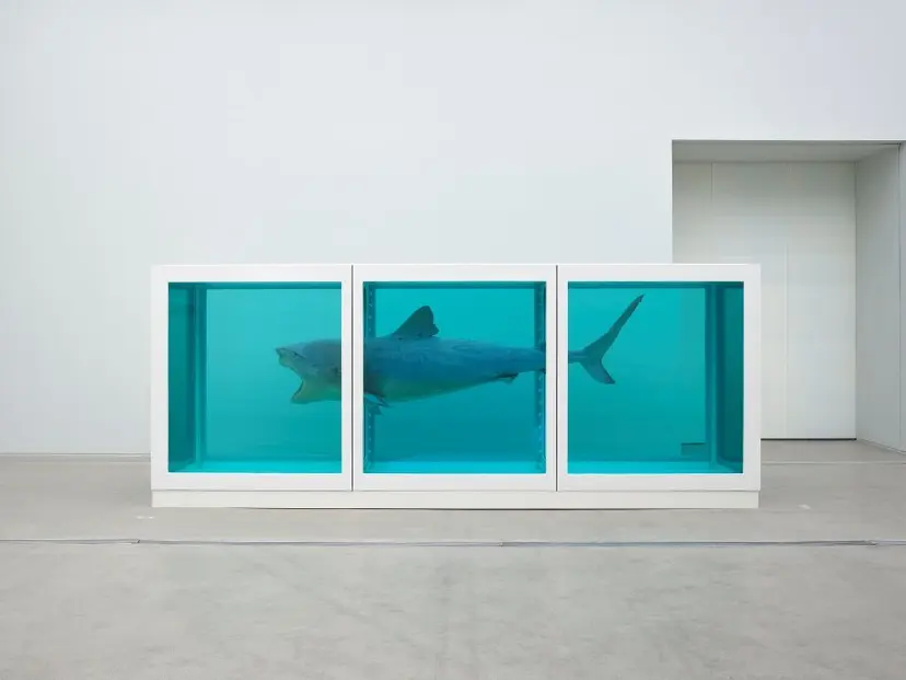 살아있는 자의 마음 속 죽음의 물리적 불가능성 Installation view, Damien Hirst: Nothing Is True But Everything Is Possible (2026), 
National Museum of Modern and Contemporary Art, Korea.  
Photographed by Prudence Cuming Associates Ltd. 
© Damien Hirst and Science Ltd. All rights reserved, DACS 2026.