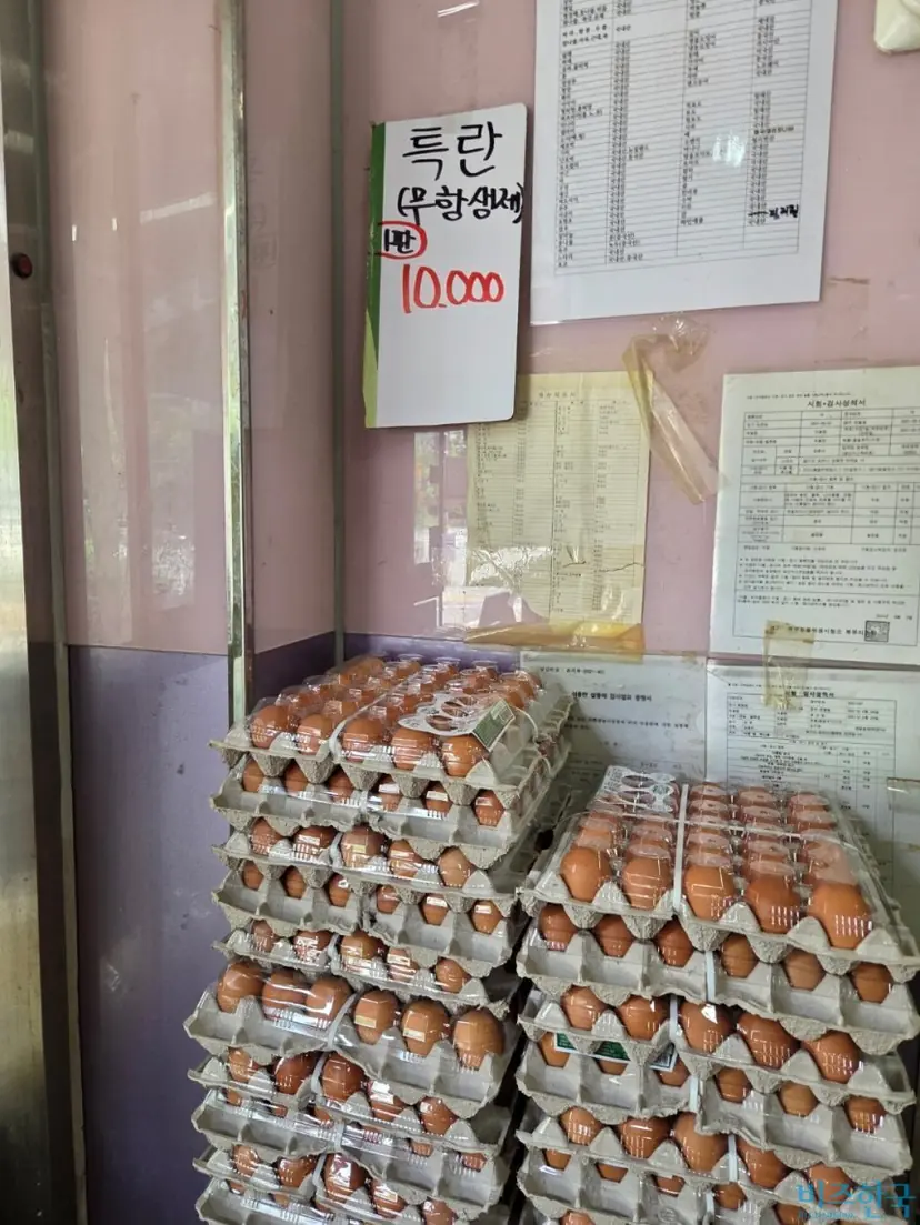 [현장] 계란 매대 앞 멈춘 손, 김밥집 빵집은 '울상'