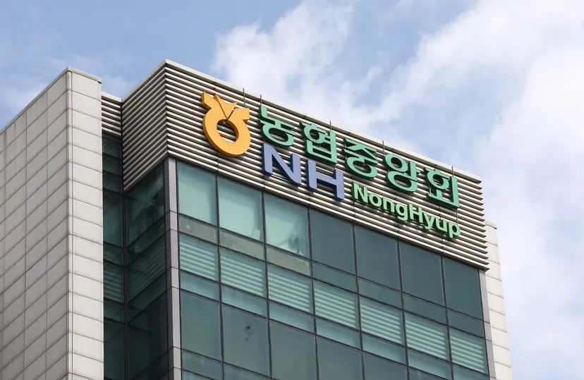 농협 개혁, 해 넘기나…회장 직선제·감사위 설치 두고 정부와 이견